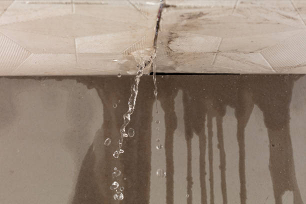 Professional Structural Drying technician working in Orange, VA